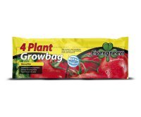 Evergreen 4 Plant Grow Bag 36L